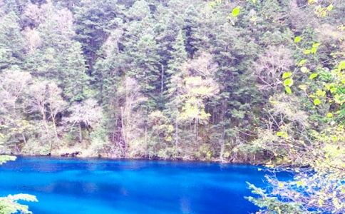 神奇的九寨溝作文(匯總14篇)