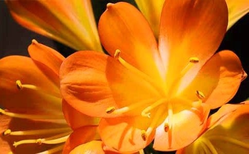 �����ϣ������m����15ƪ