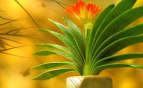 �����m���ģ����A15ƪ��