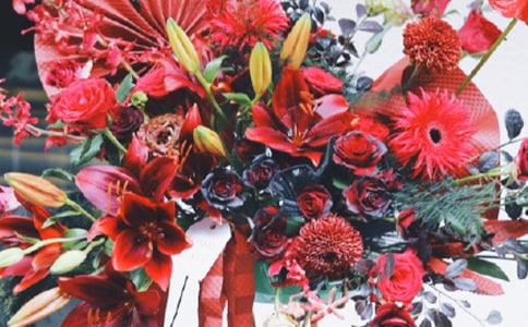 �_�I(y��)�_��ף������