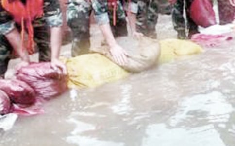 ����Ȟ��ĵ��w��