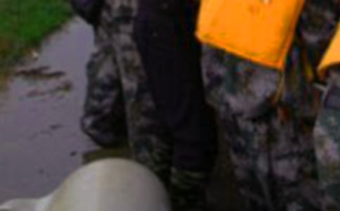 �o�����(zh��n)ʿ��һ���ţ����x12ƪ��