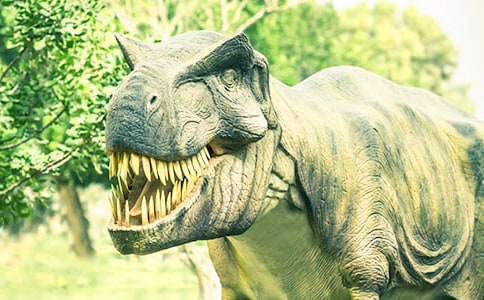 給恐龍的一封信