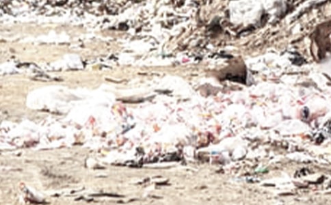 垃圾桶里的悄悄話作文