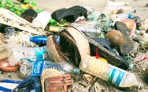 不亂扔垃圾作文