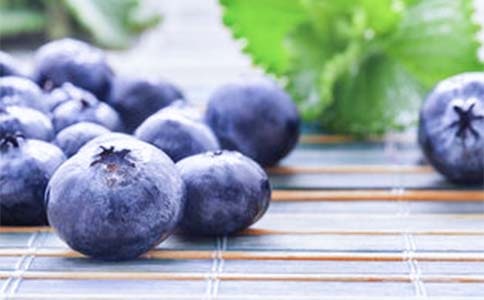 (集合)摘藍(lán)莓作文4篇