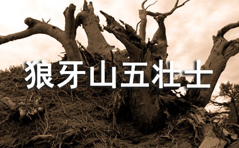 �x������ɽ���ʿ���и�(15ƪ)