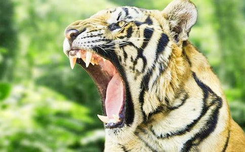 �P(gu��n)���ϻ�������[����]