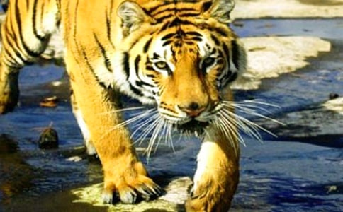 �ϻ���ͯԒ����300��[��Ʒ4ƪ]