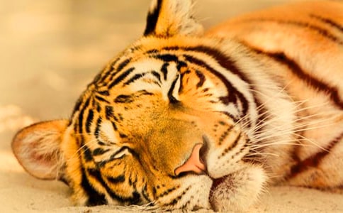 ������g(sh��)�̰����ϻ�����ͨ��8ƪ��