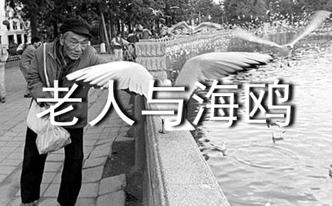 �x�����c���t�и�500