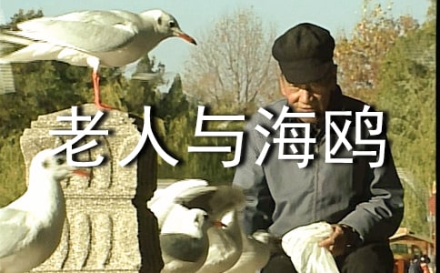 �������c���t�������x���Pӛ