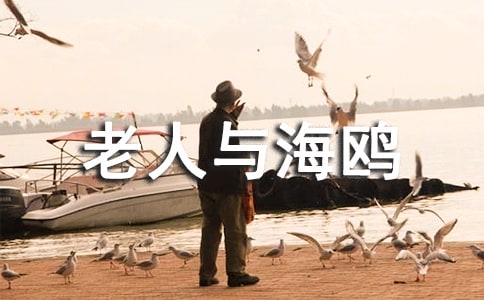 �����c���t�x���500��