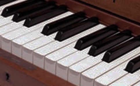 我最喜歡的樂器作文