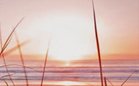 (���A)����������