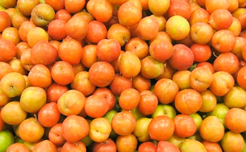 摘李子作文合集12篇