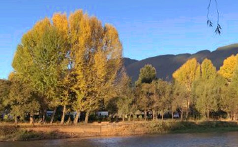 【必備】游麗江古城作文