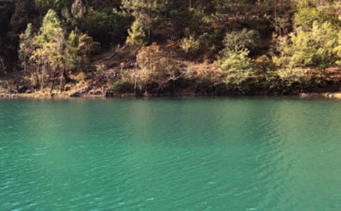 ����������15ƪ���ᣩ