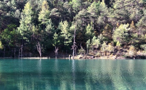 (���T)�����ų�����