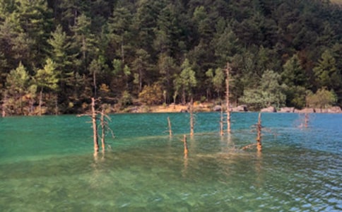 �����ųǌ�(d��o)���~���ģ�ͨ��7ƪ��