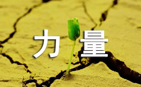 ����Ӗ(x��n)����Ҫ������Щ