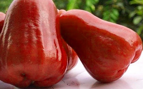 蓮霧的功效與作用有哪些