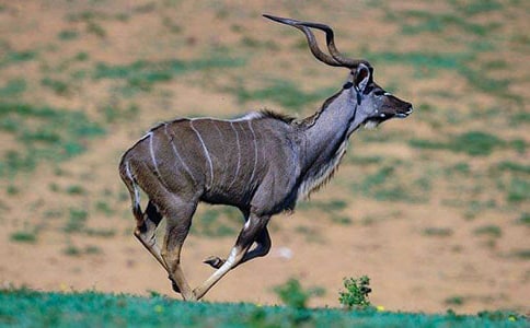 �m(x��)������ľ��