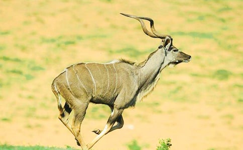 �x�������w�ȡ��и� -�x�������