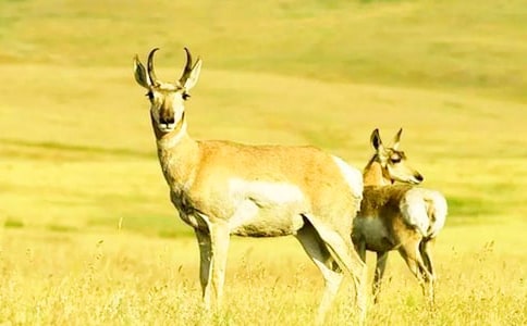 �n�ġ�����ľ�񡷽̰��O(sh��)Ӌ����