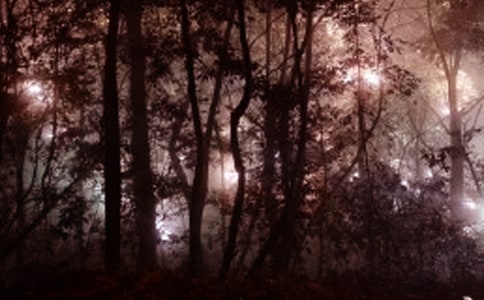 �������賿����-���꼉����