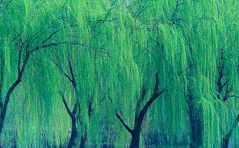 �茑�����Ԋ(sh��)��[���T]