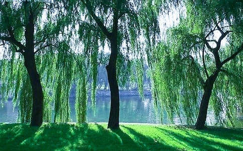 �茑����ľ���210��