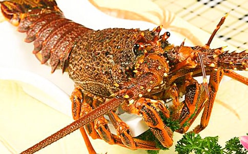 可愛的龍蝦作文