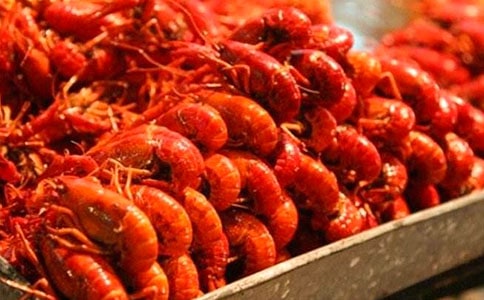 ����r�����ĺϼ�[15ƪ]