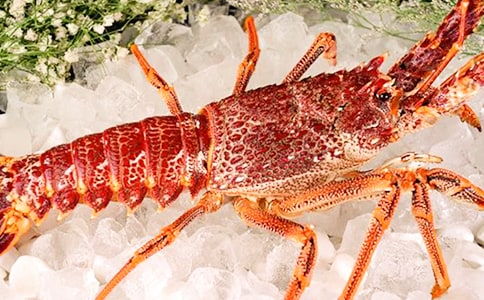 ����r����15ƪ����(y��u)�x��