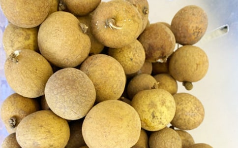 �������x��֦����������֦�������xُ����