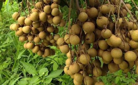 �Ґ۹��l(xi��ng)����������