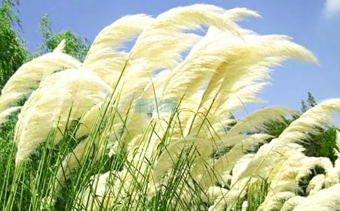 �JȔʎ���ģ����x15ƪ��