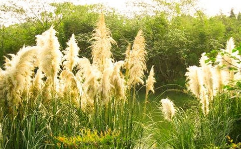 ��Ҋ(ji��n)�JȔ������