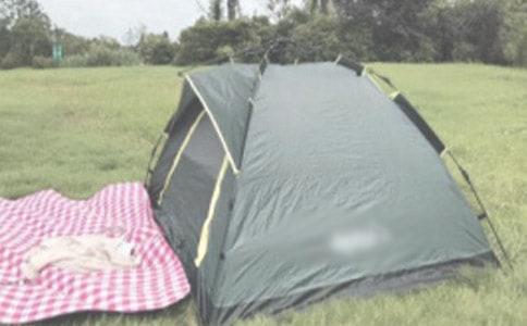 露營作文550字左右