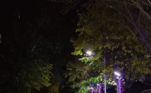 路燈的作文集合(15篇)