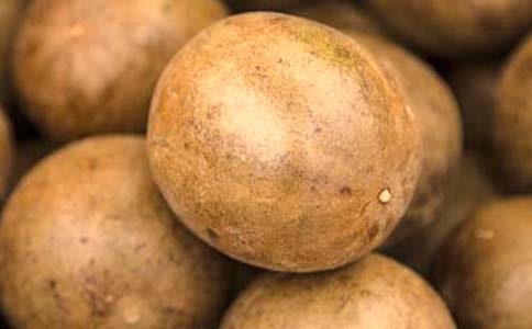 ������_�h������