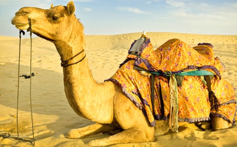 �����񄡷ͬ�����������\3ƪ��