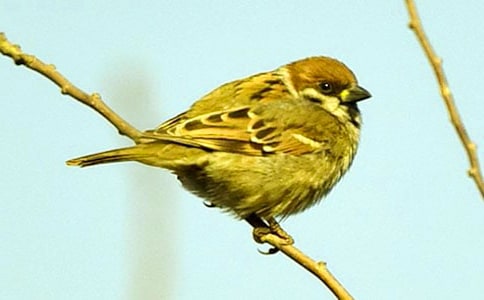 �P(gu��n)����ȸ�����Ľ�(j��ng)��(15ƪ)