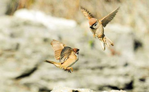 ���w��ȸ����