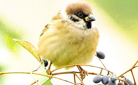 �����ȸ�^����ӛ