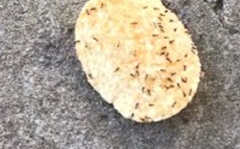 �^��Λρ����ӛ