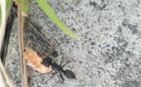 ����(y��u)�x��ΛρͯԒ����300��