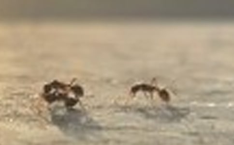 ���P(gu��n)Λρ��ӛ����300��7ƪ