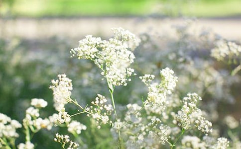 ����(y��u)���M��������